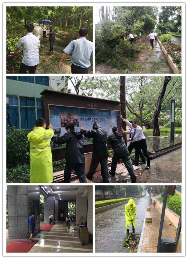 保管和保洁有什么区别呢？(图1)