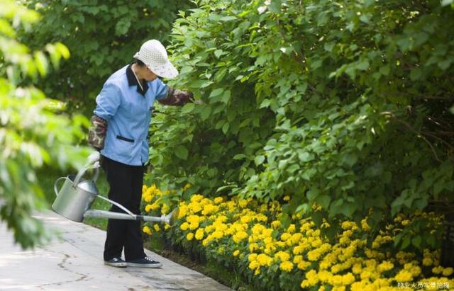 保安和保卫人员的区别在哪里呢(图1)